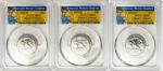 2023 PCGS BU Certified American Women Quarter Sets Rosie Label - back