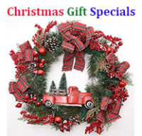 Christmas Gift Specials